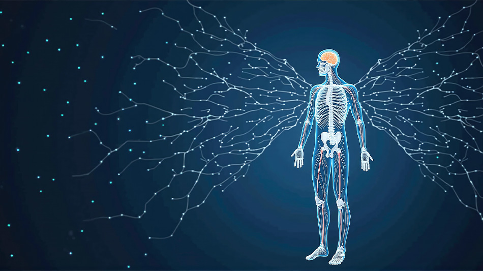 神経を守る背骨をケアすることで、健康もパフォーマンスも底上げ！