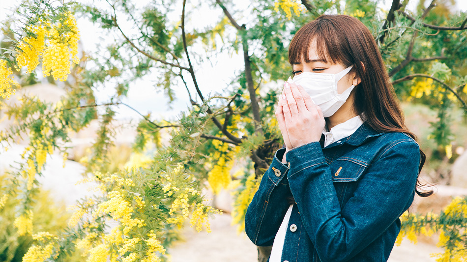 日常生活と花粉症のつながり ― カイロプラクティックで変わるセルフケア